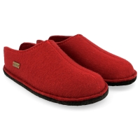 Haflinger 311013-11